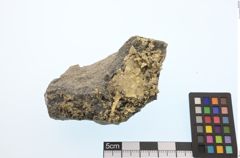 Foto von Gold Gediegen (NHMW-MIN-Ai691)
